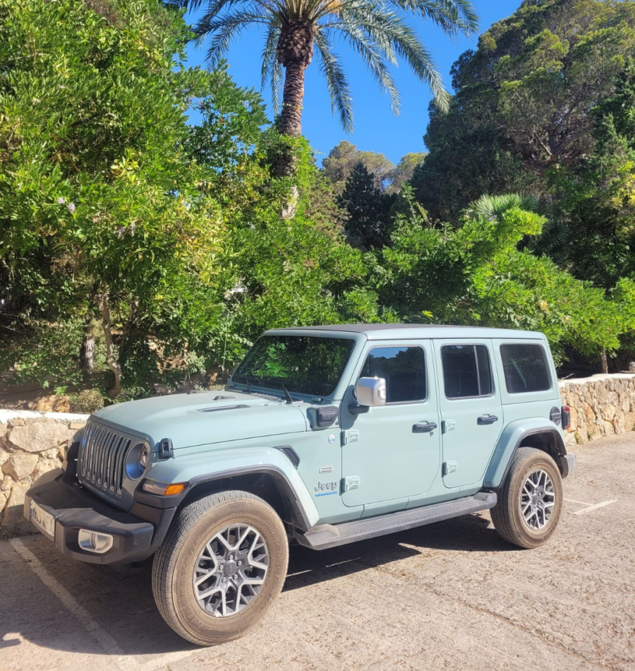 Alquiler Jeep Autos Senna en Casa Naya